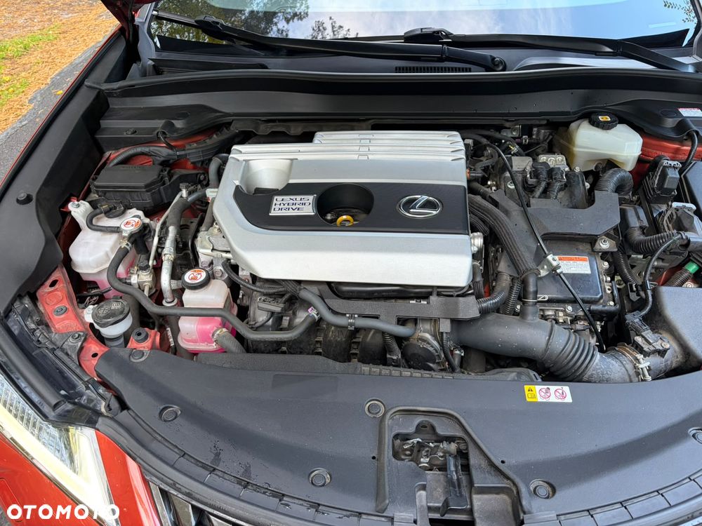 Lexus UX - 10