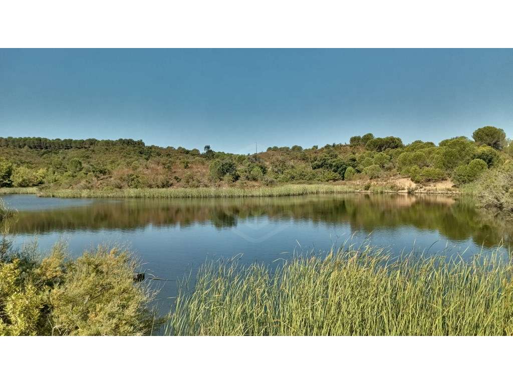 Terreno Misto com 560.000 m2 destinado a Agro-Turismo perto de Silv... - Grande imagem: 3/30
