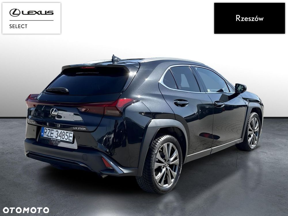 Lexus UX 250h GPF F Sport Design+ 2WD - 5