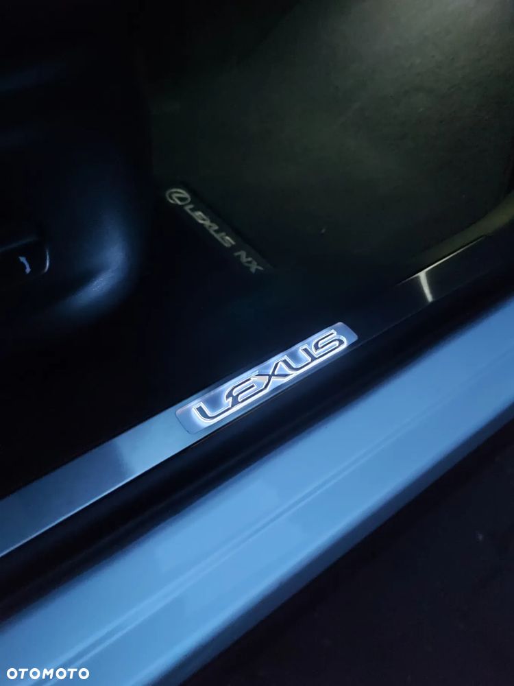 Lexus NX 300 - 29