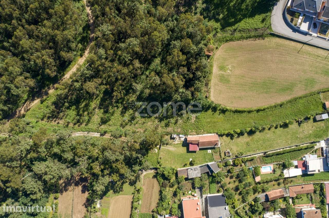 Terreno urbano em Caldas de São Jorge - Área de 3.462 m2 - Grande imagem: 4/15