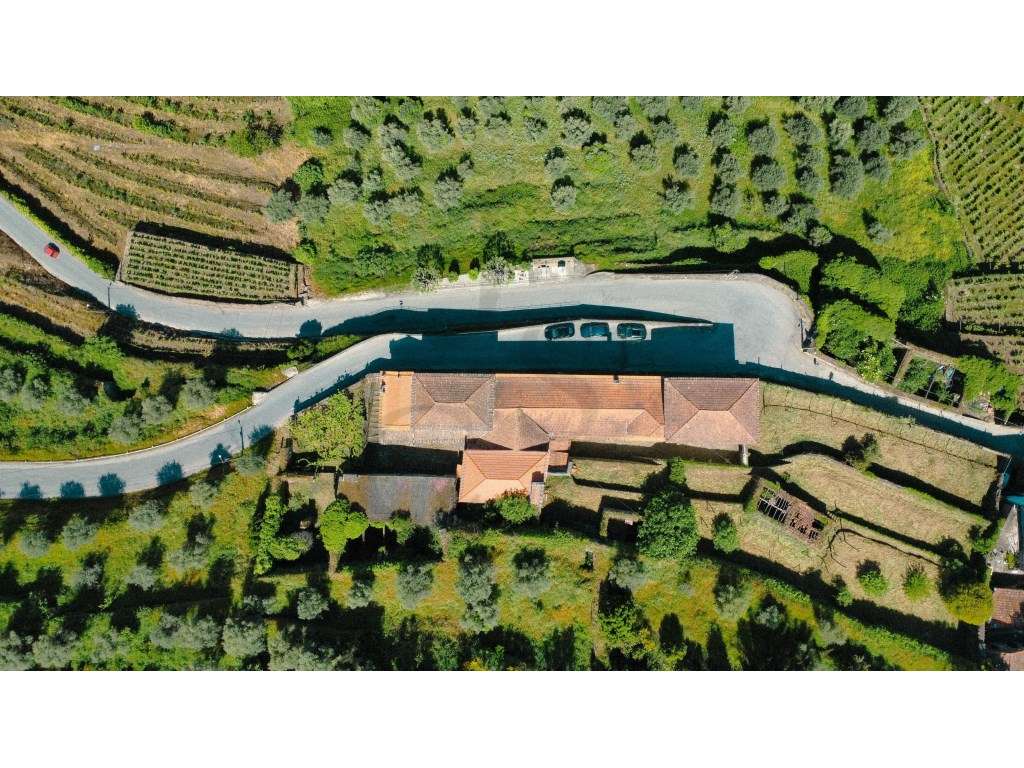 Casa Senhorial Brasonada do Século XVIII na Região do Douro - Grande imagem: 5/57