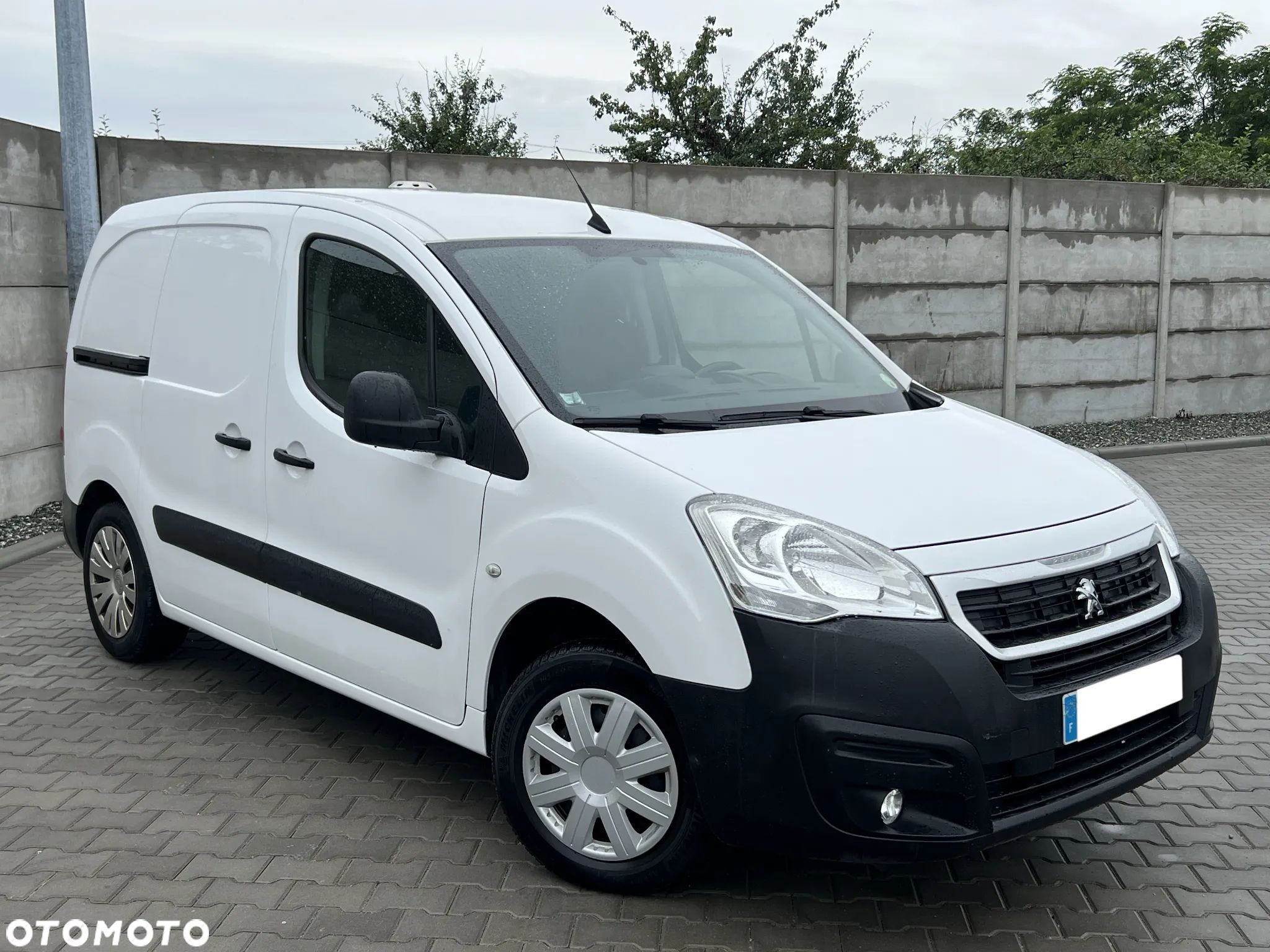 Peugeot Partner Furgon - 1
