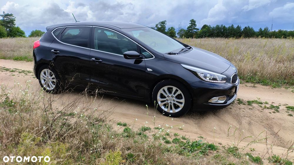 Kia Ceed 1.6 CRDi 128 Dream Team Edition - 3