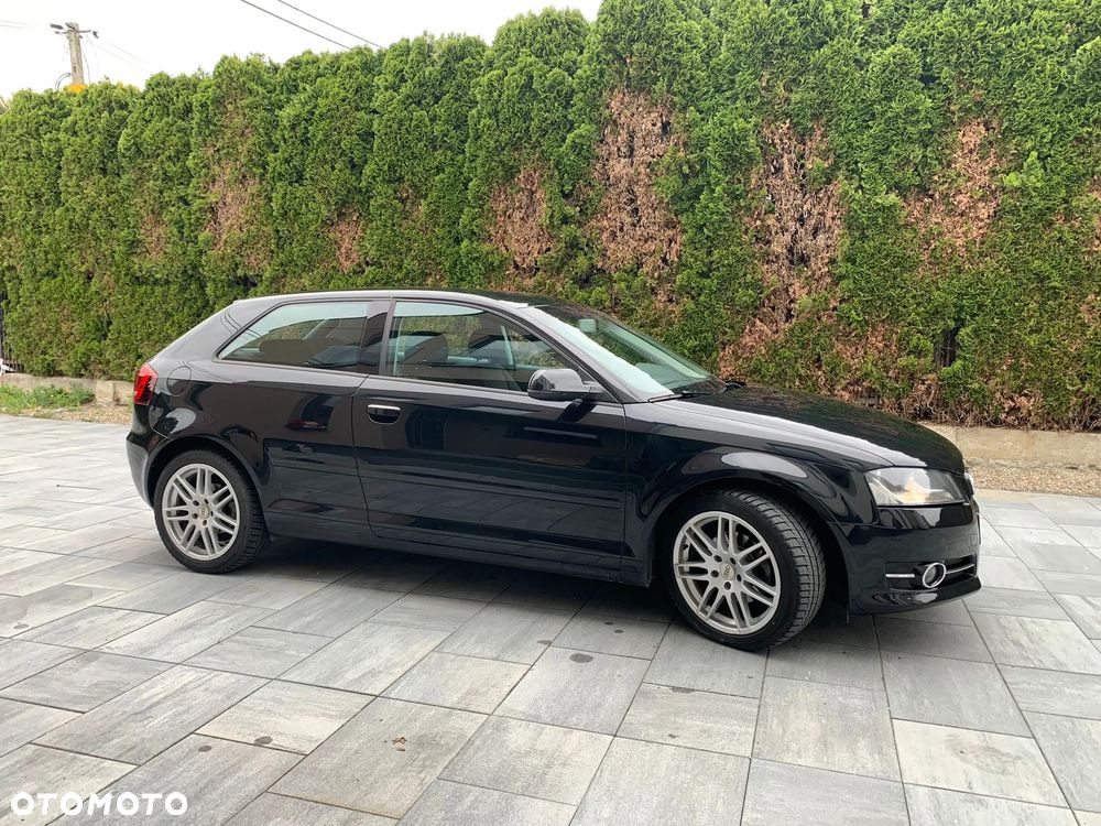 Audi A3 3-drzwiowe 1.6 TDI DPF Attraction - 5