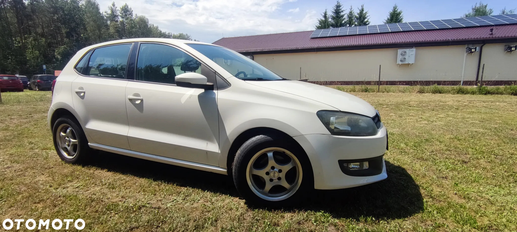 Volkswagen Polo 1.2 TDI Blue Motion 87g - 5
