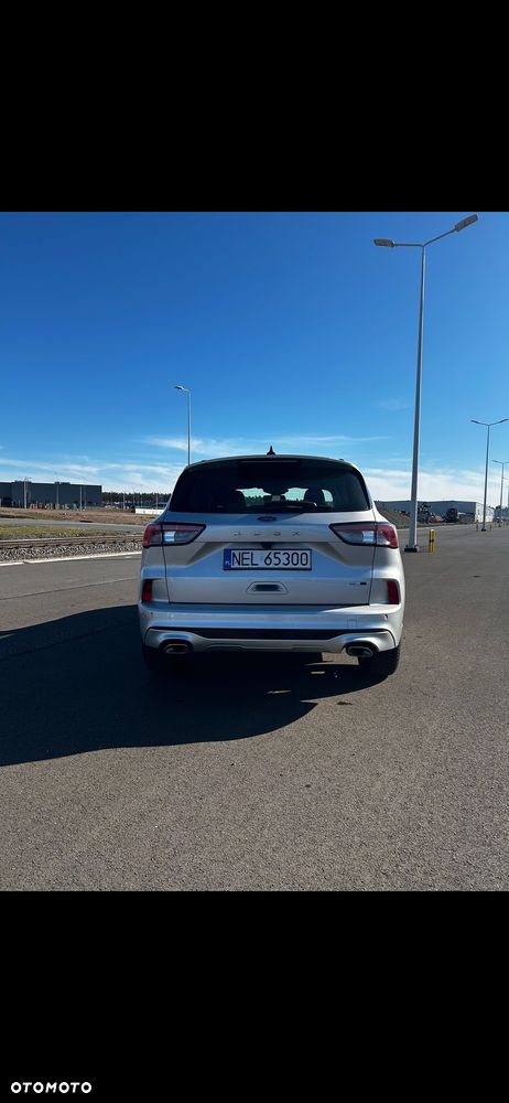 Ford Kuga 2.0 EcoBlue Hybrid ST-LINE - 3