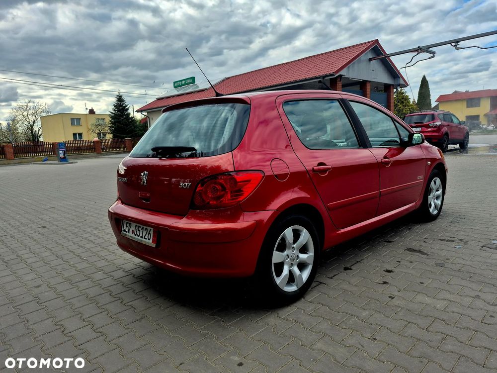 Peugeot 307 - 6