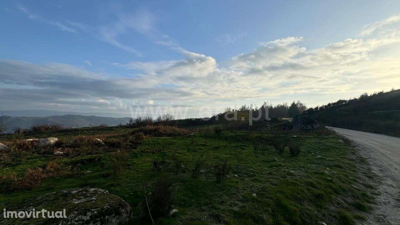 Terreno / Baião, Campelo e Ovil - Grande imagem: 2/2