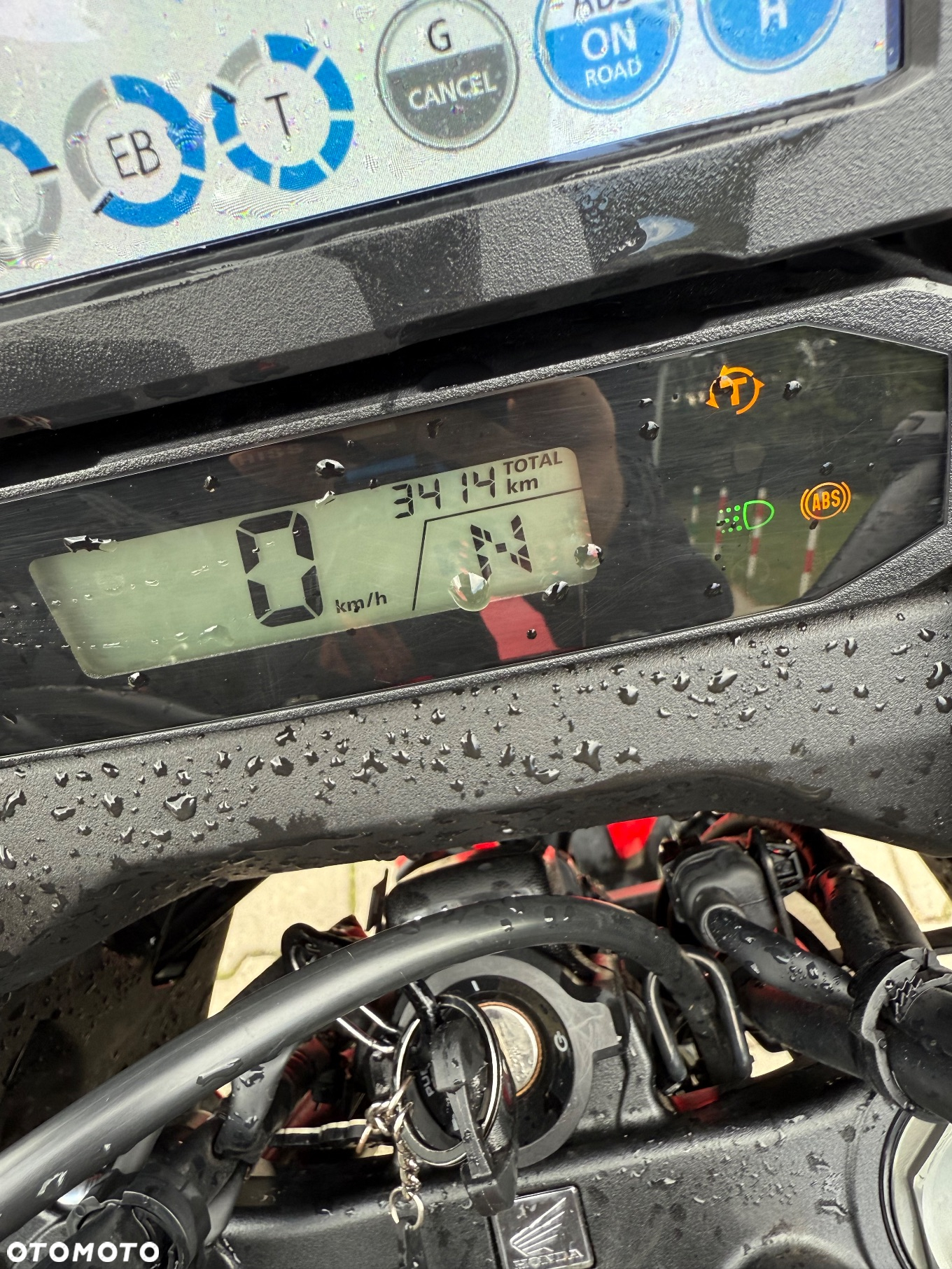 Honda CRF - 10