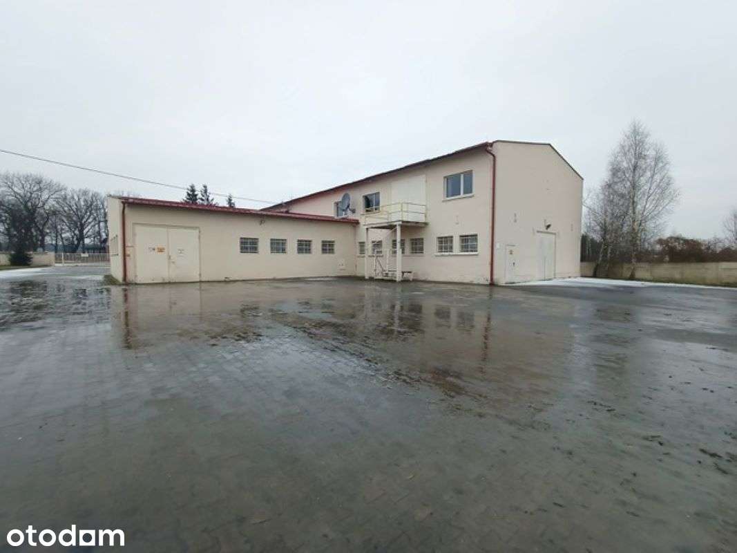 Sprzedaż przedsiębiorstwa zajmującego się produkcją świec parafinowych - Pełny obrazek: 5/12