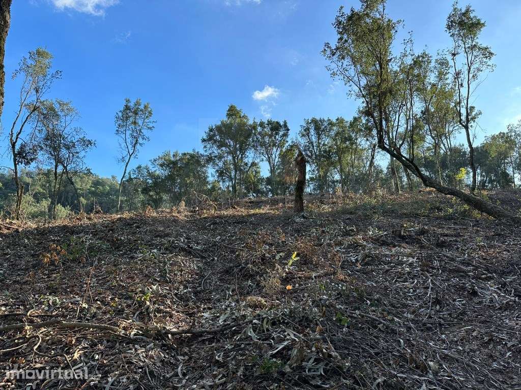 Terreno com 32.000 m2 - Grande imagem: 3/17