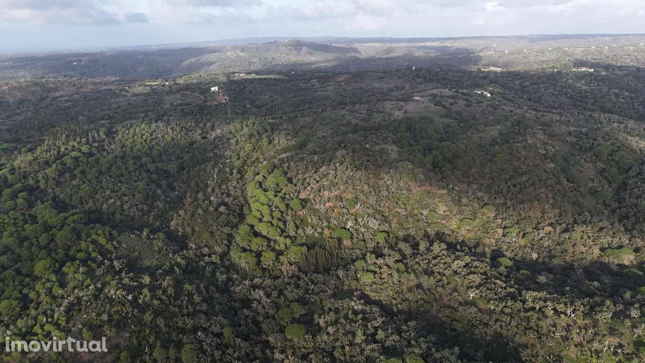 Terreno 17.9Ha com PIP Aprovado e vista mar em São Francisco da Serra - Grande imagem: 3/38