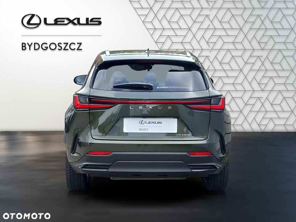 Lexus NX 350h Prestige AWD - 4
