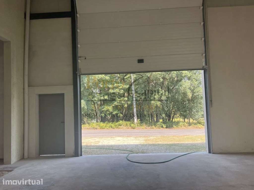 Armazém para Arrendamento | São Tirso | 609 m² - Grande imagem: 2/20