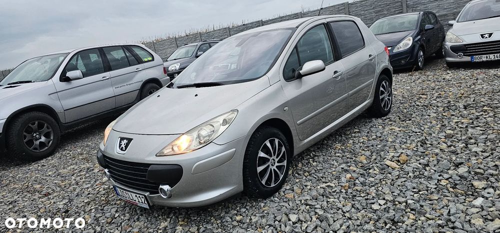 Peugeot 307 Break 110 Premium - 16
