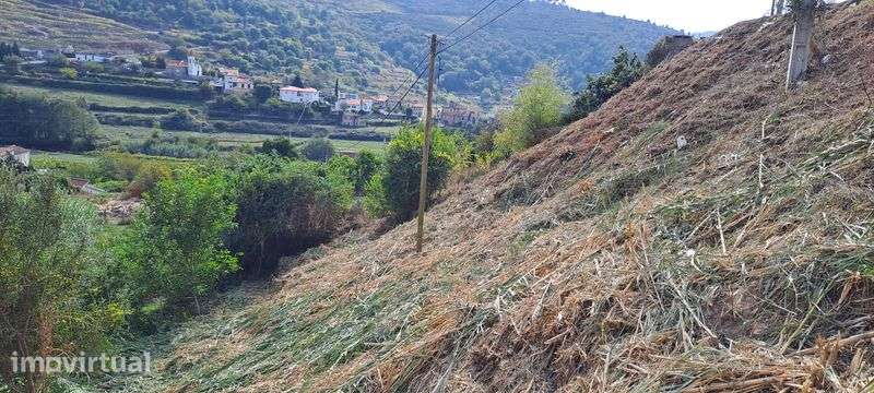 Terreno Loivos da Ribeira Baião - Grande imagem: 3/3