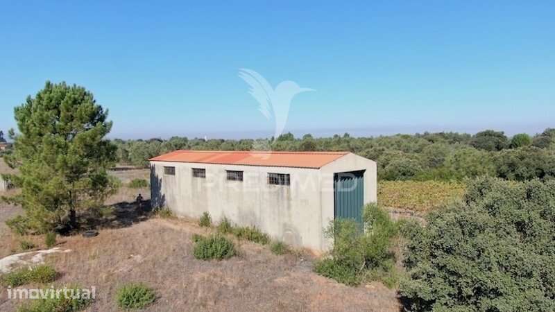 Terreno Rustico, Armazém agrícola+ furo de Agua - Grande imagem: 3/14