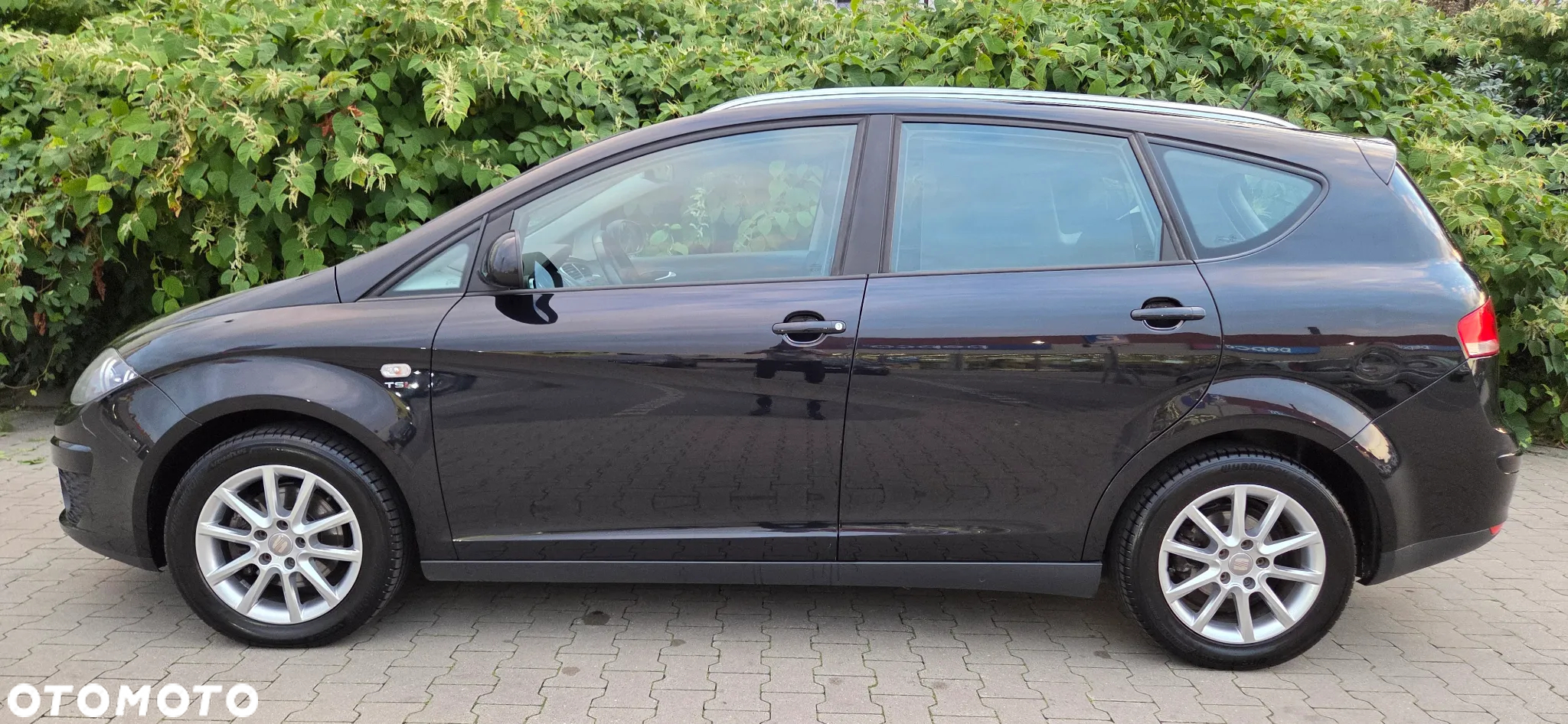 Seat Altea XL 1.4 TSI Reference Comfort - 2