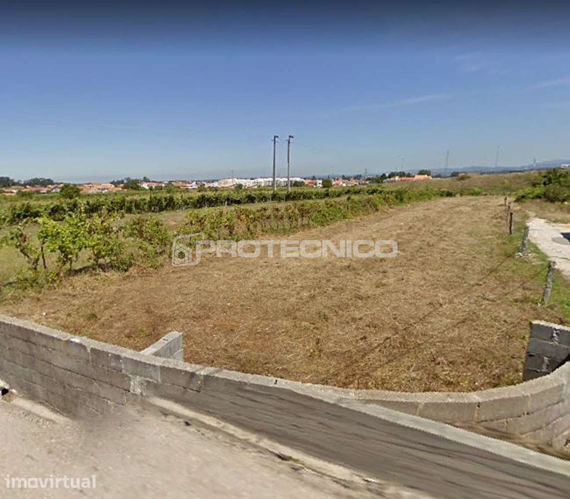 Terreno c/ 3.000m2 - Cacia - Grande imagem: 2/4