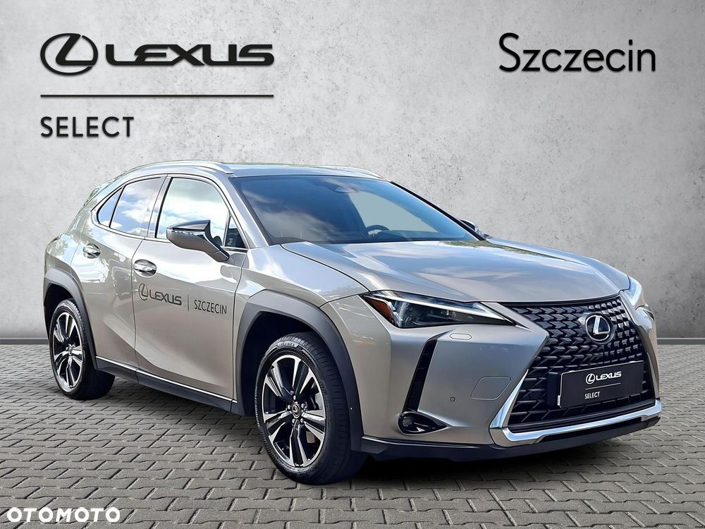 Lexus UX 300h Business - 7