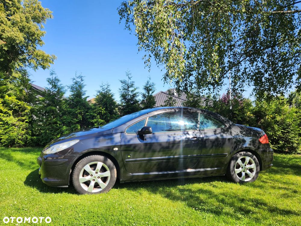 Peugeot 307 - 14