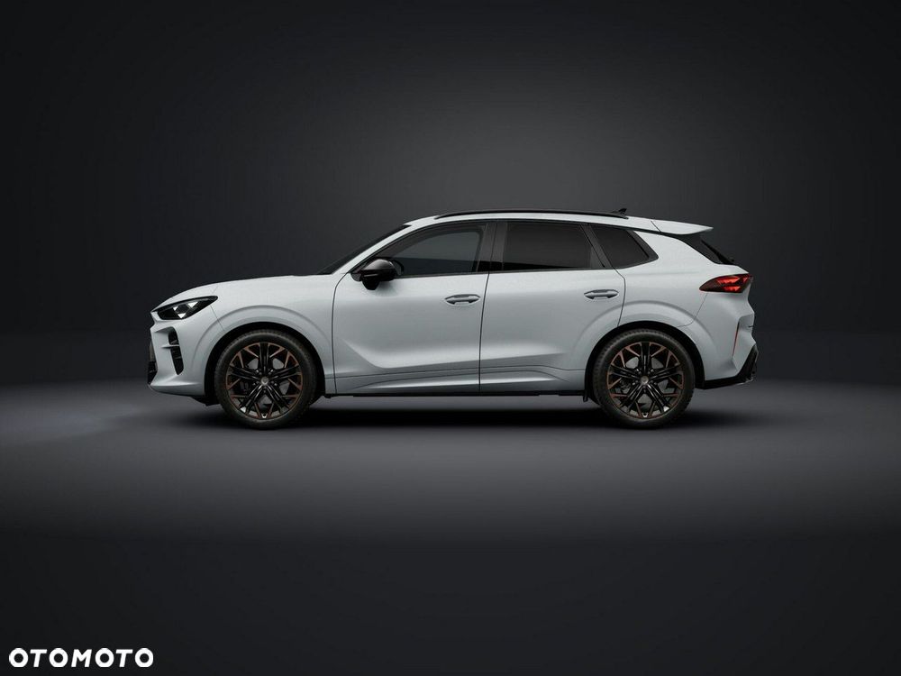 Cupra Terramar - 3
