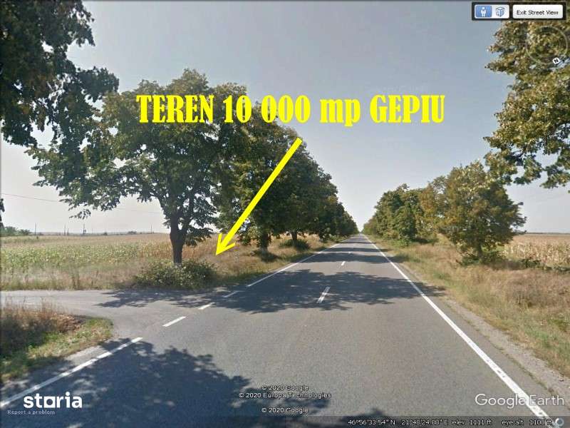 Teren intravilan Gepiu 10 000 mp Fs 174 metri drum E671 Oradea - Arad - Imagine principală: 5/10