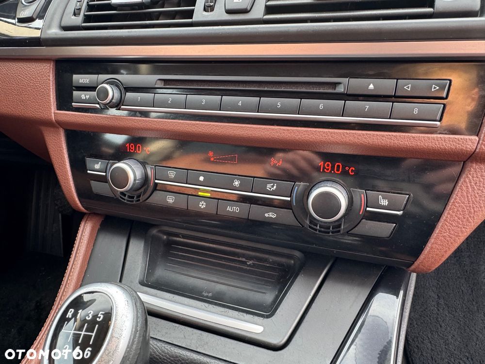 BMW Seria 5 520d Blue Performance - 30