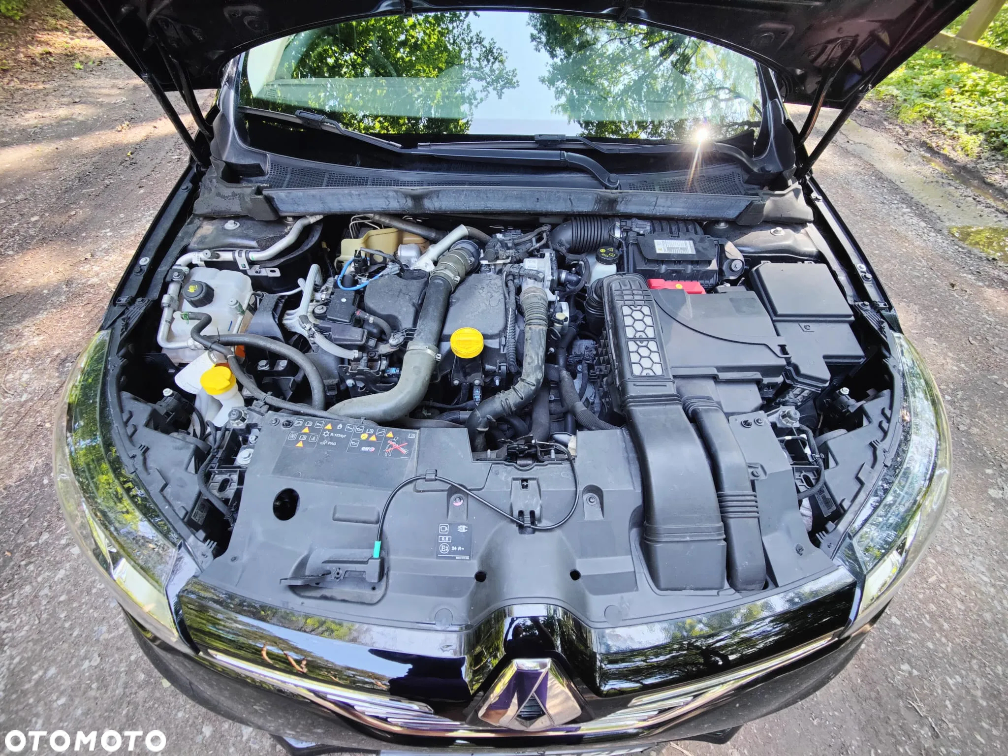 Renault Megane - 17
