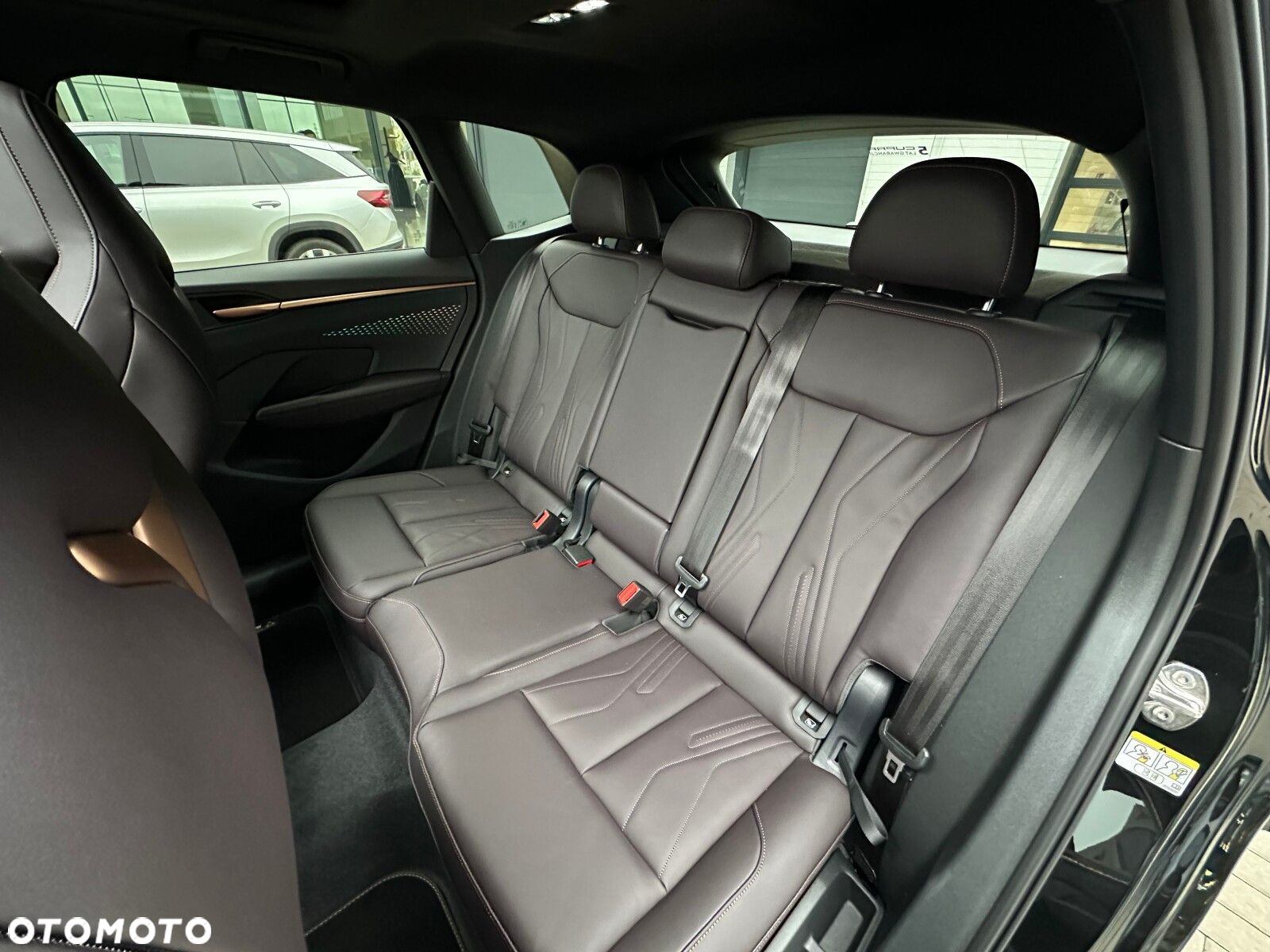 Cupra Terramar - 37