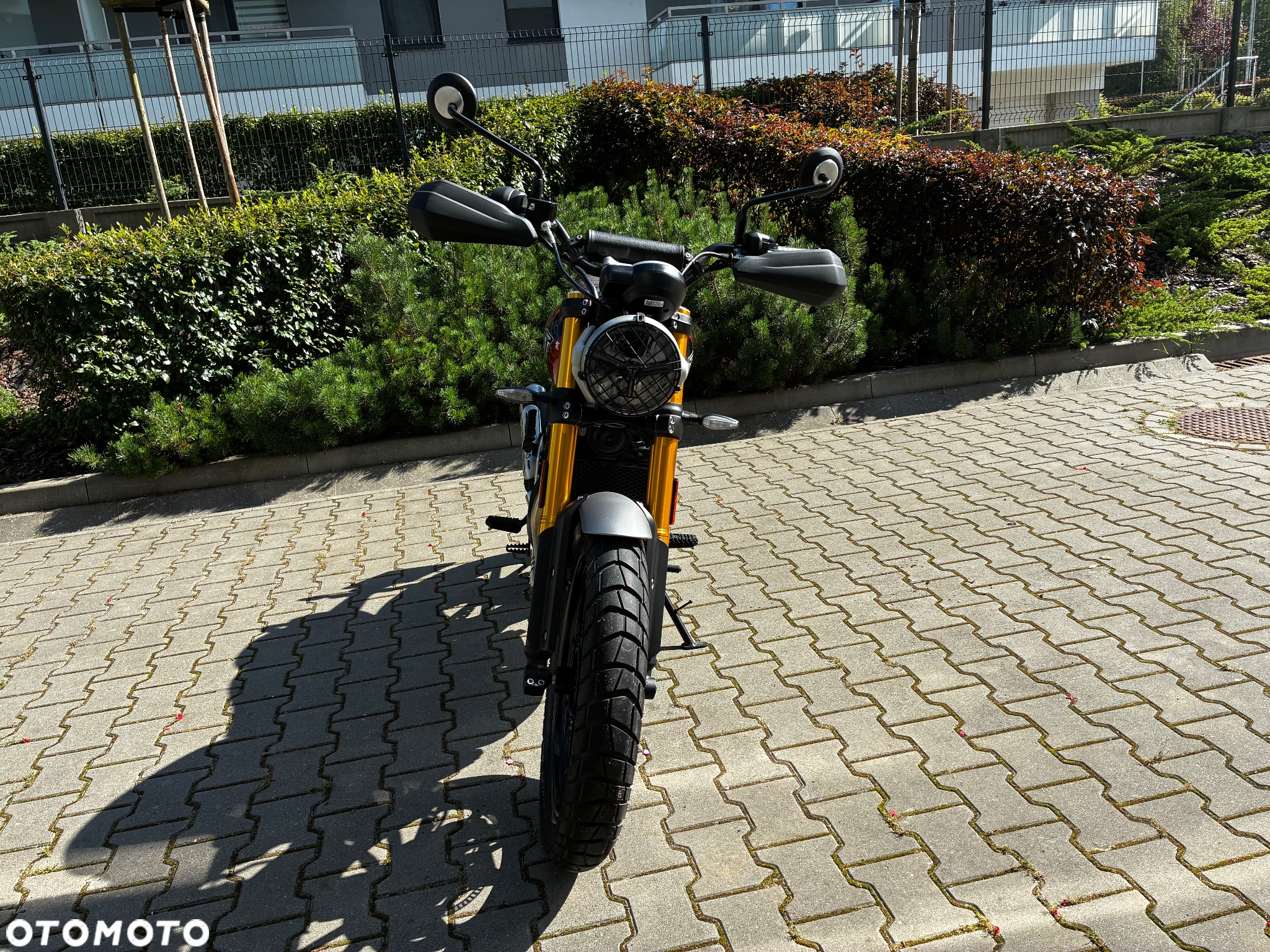 Triumph Scrambler