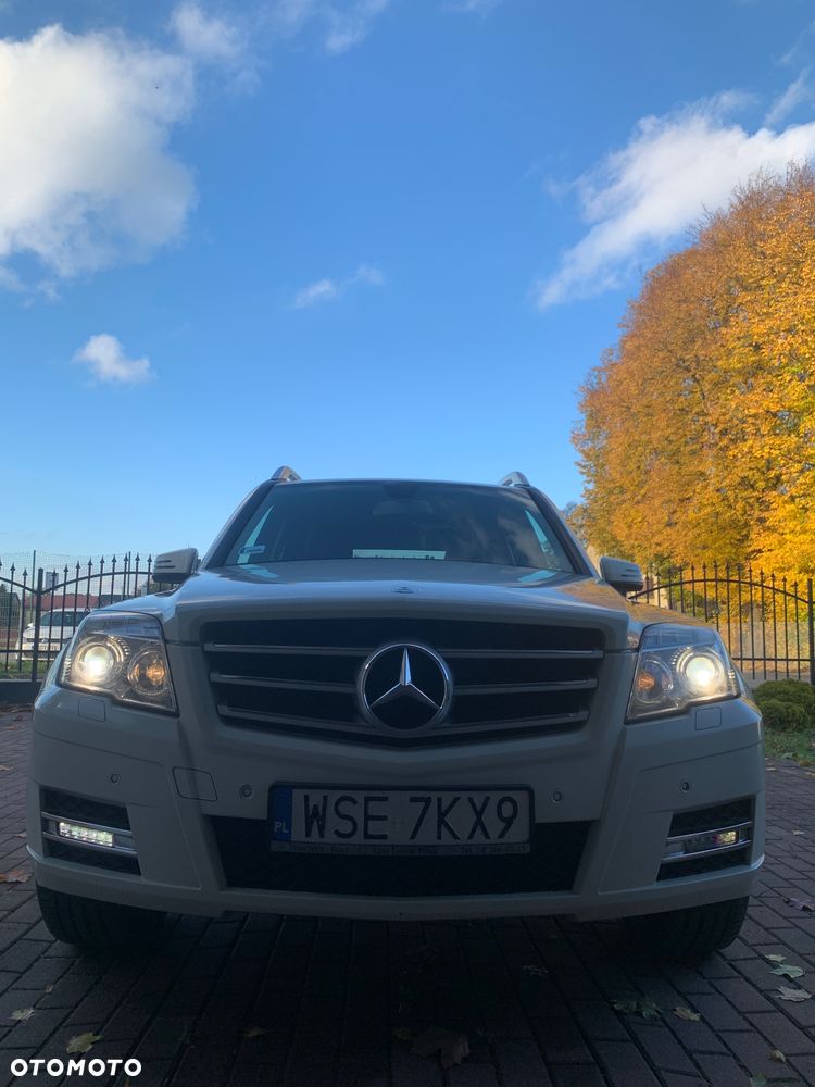 Mercedes-Benz Glk 2011 photo 5