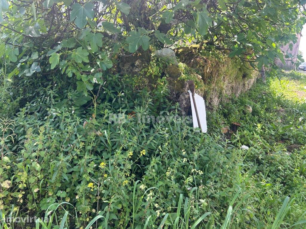 Terreno com PDM Urbano - Outeiro Grande, Torres Novas - Grande imagem: 3/12