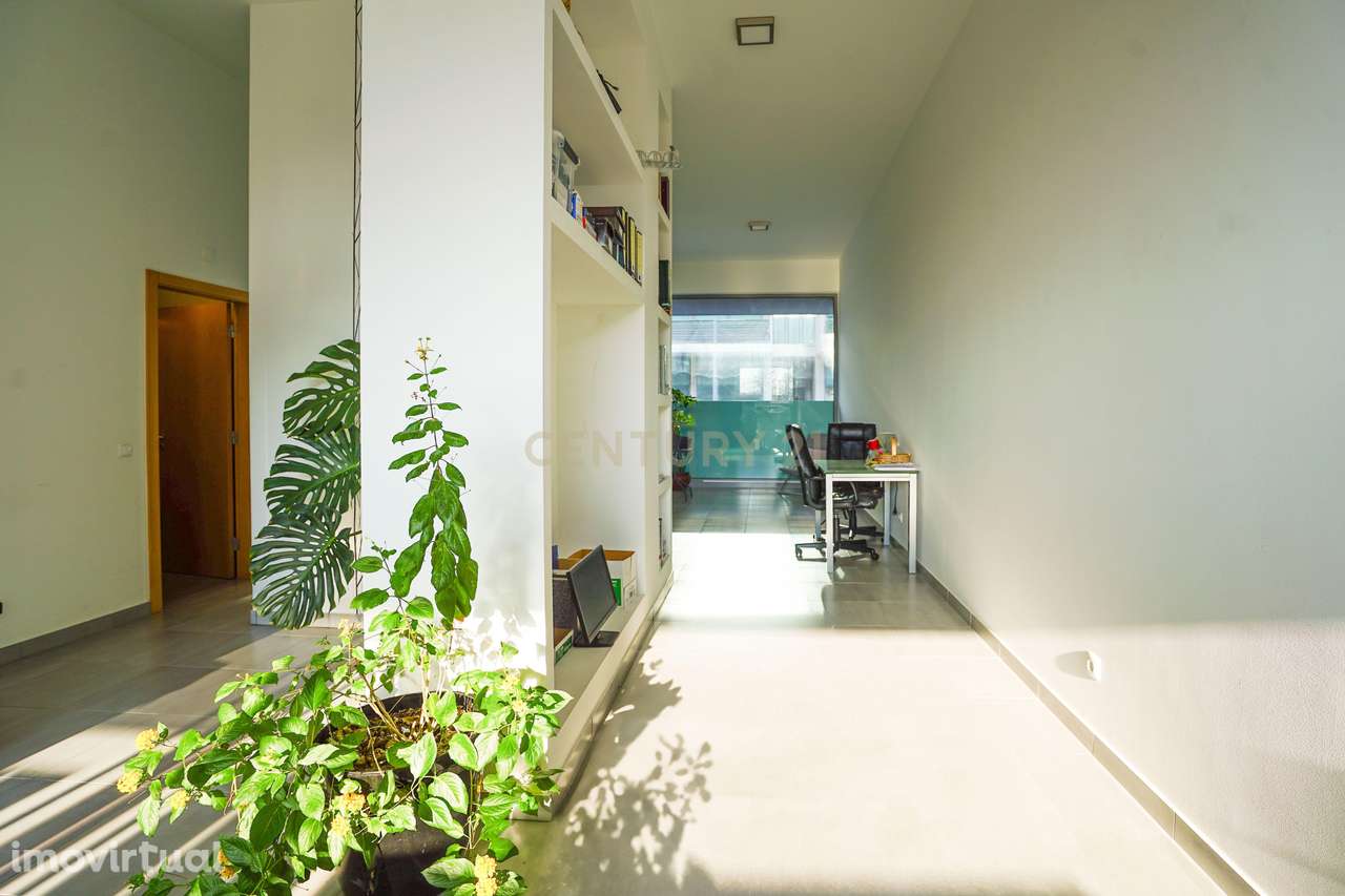 Loja - Vila Nova de Poiares - Grande imagem: 4/12