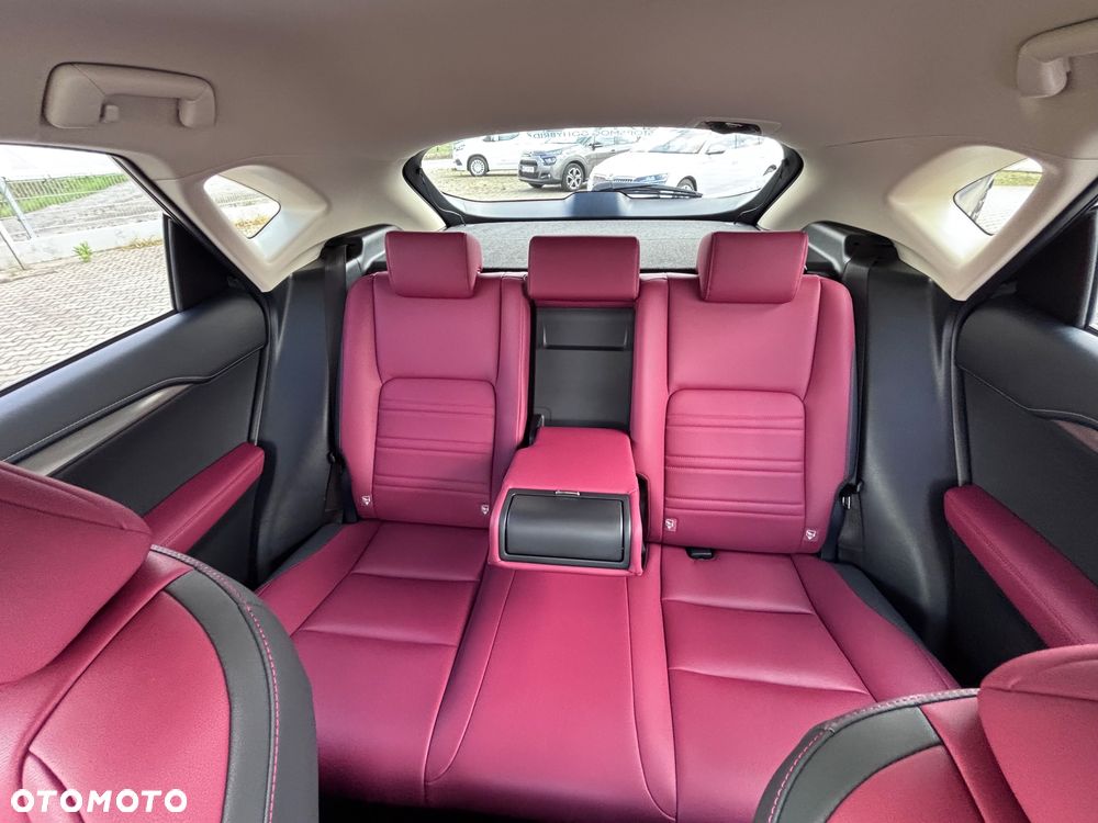 Lexus NX 300h F Impression AWD - 22
