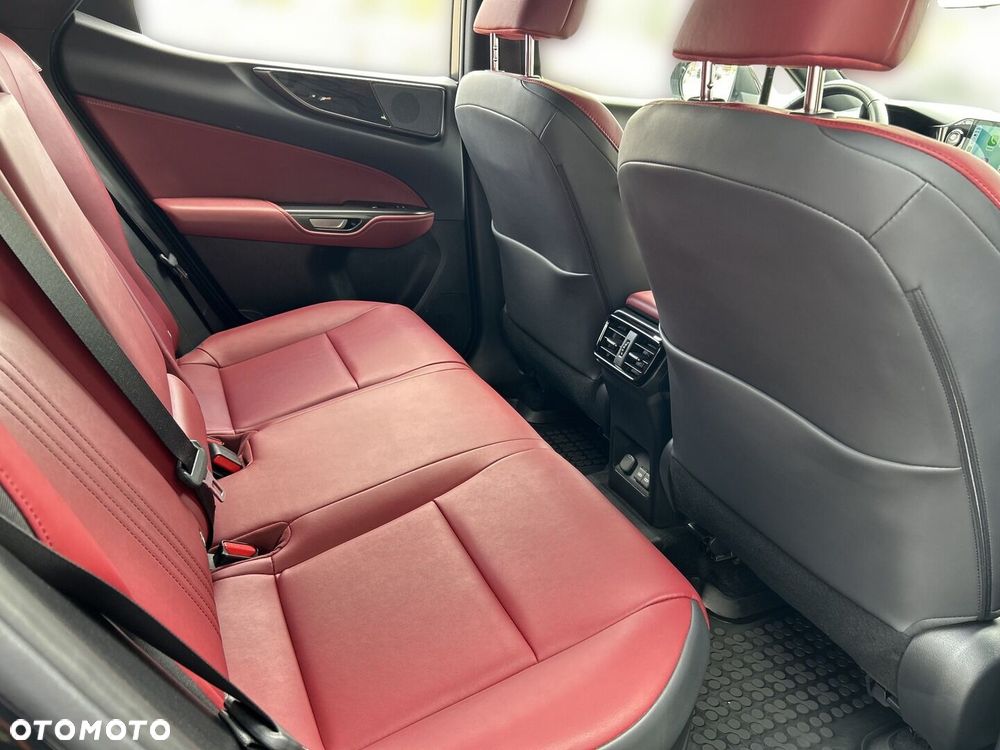 Lexus NX - 15