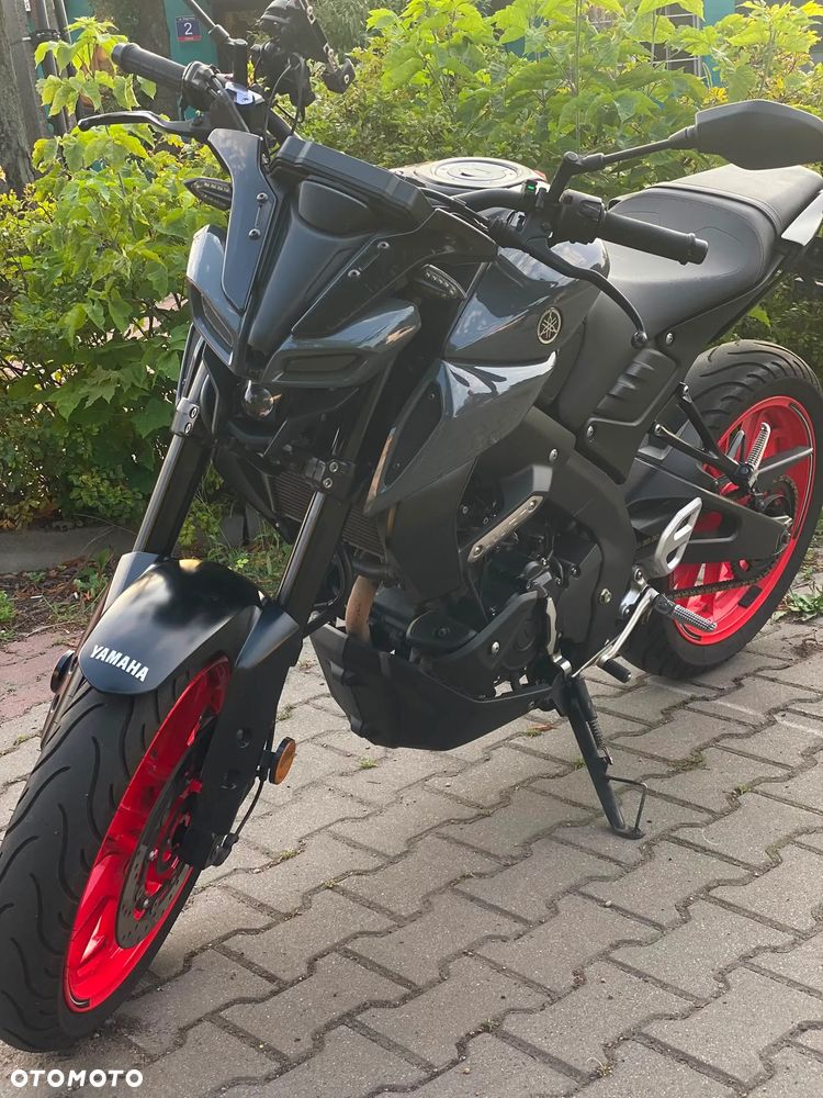 Yamaha MT - 6