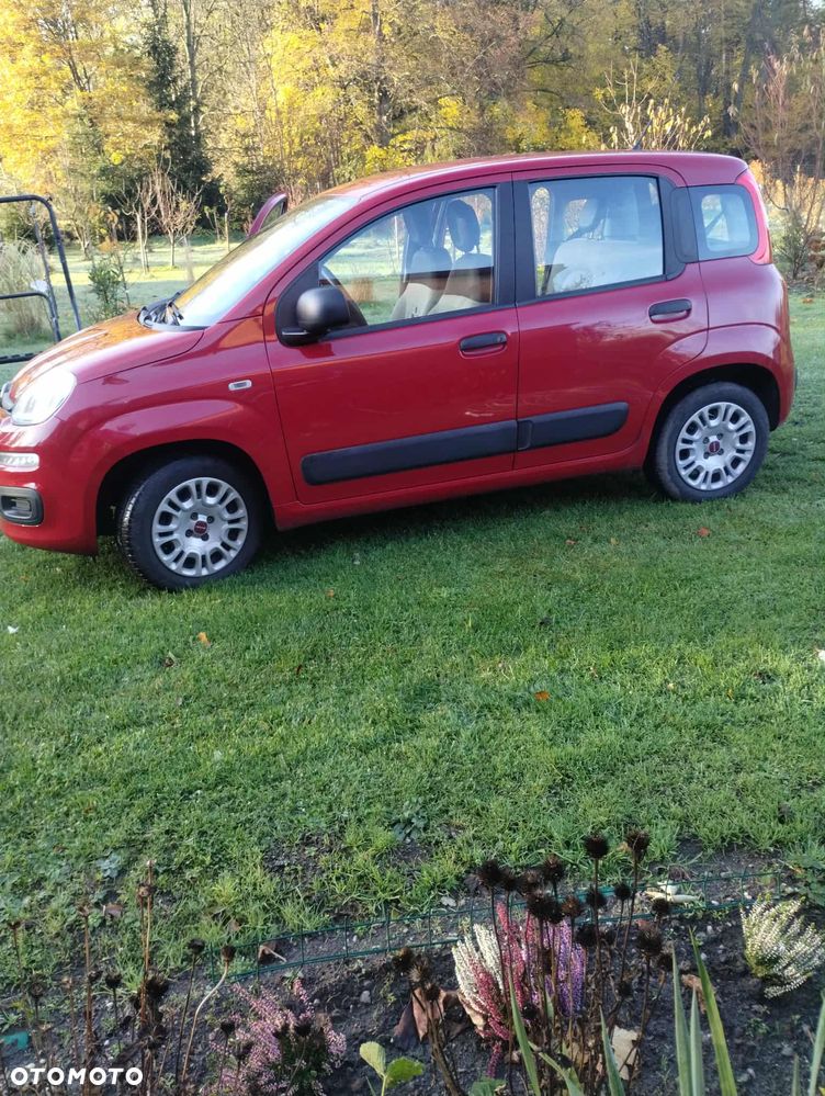 Fiat Panda 1.2 Easy - 1
