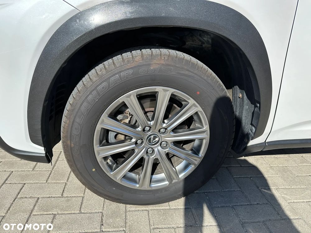 Lexus NX - 30