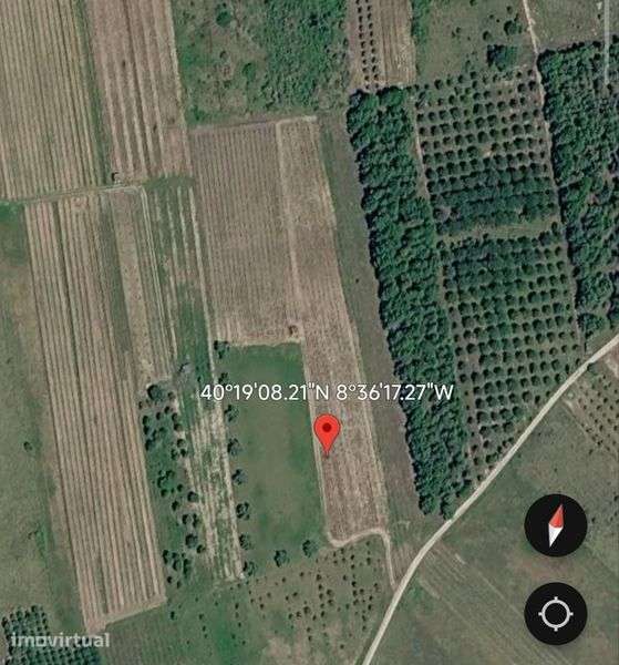 Vendo terreno  vinha e oliveiras 14.291 m² - Grande imagem: 2/4