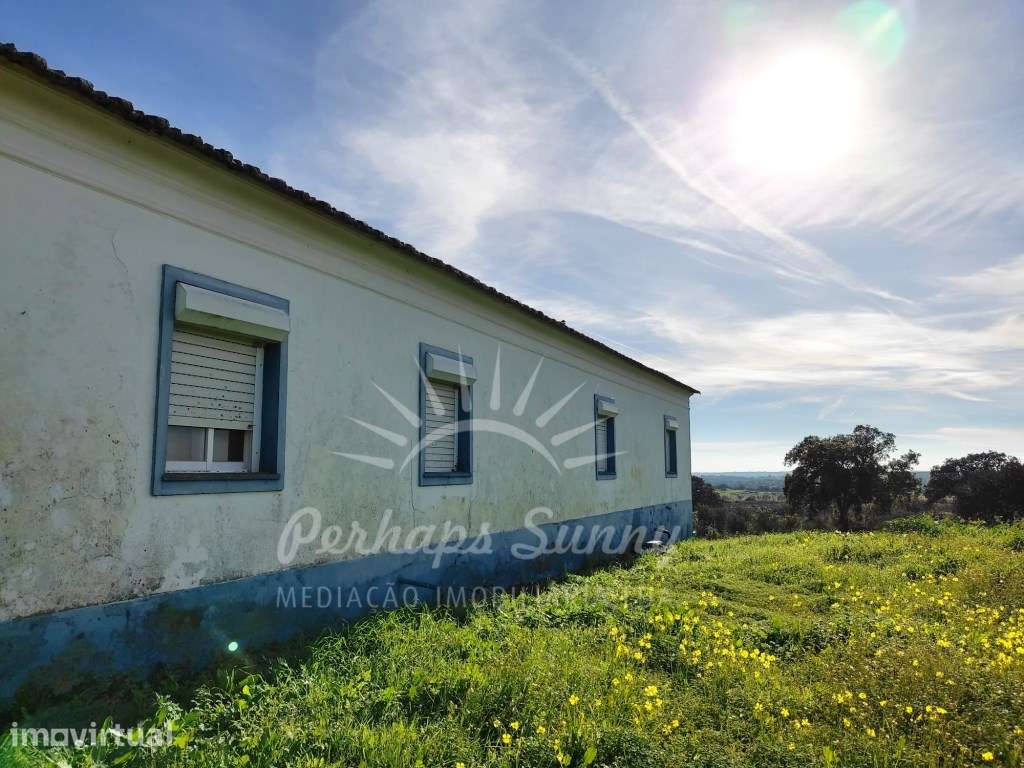 Herdade 45ha Azinheira dos Barros - Grande imagem: 3/17