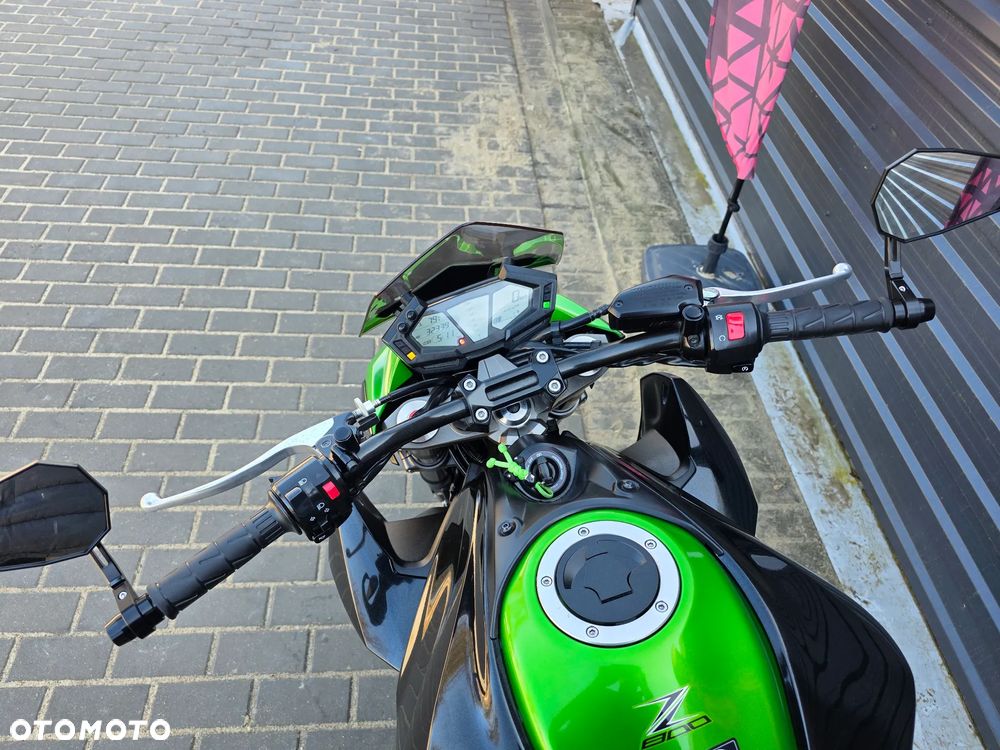 Kawasaki Z - 17