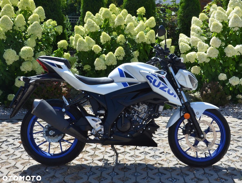 Suzuki GSX - 5