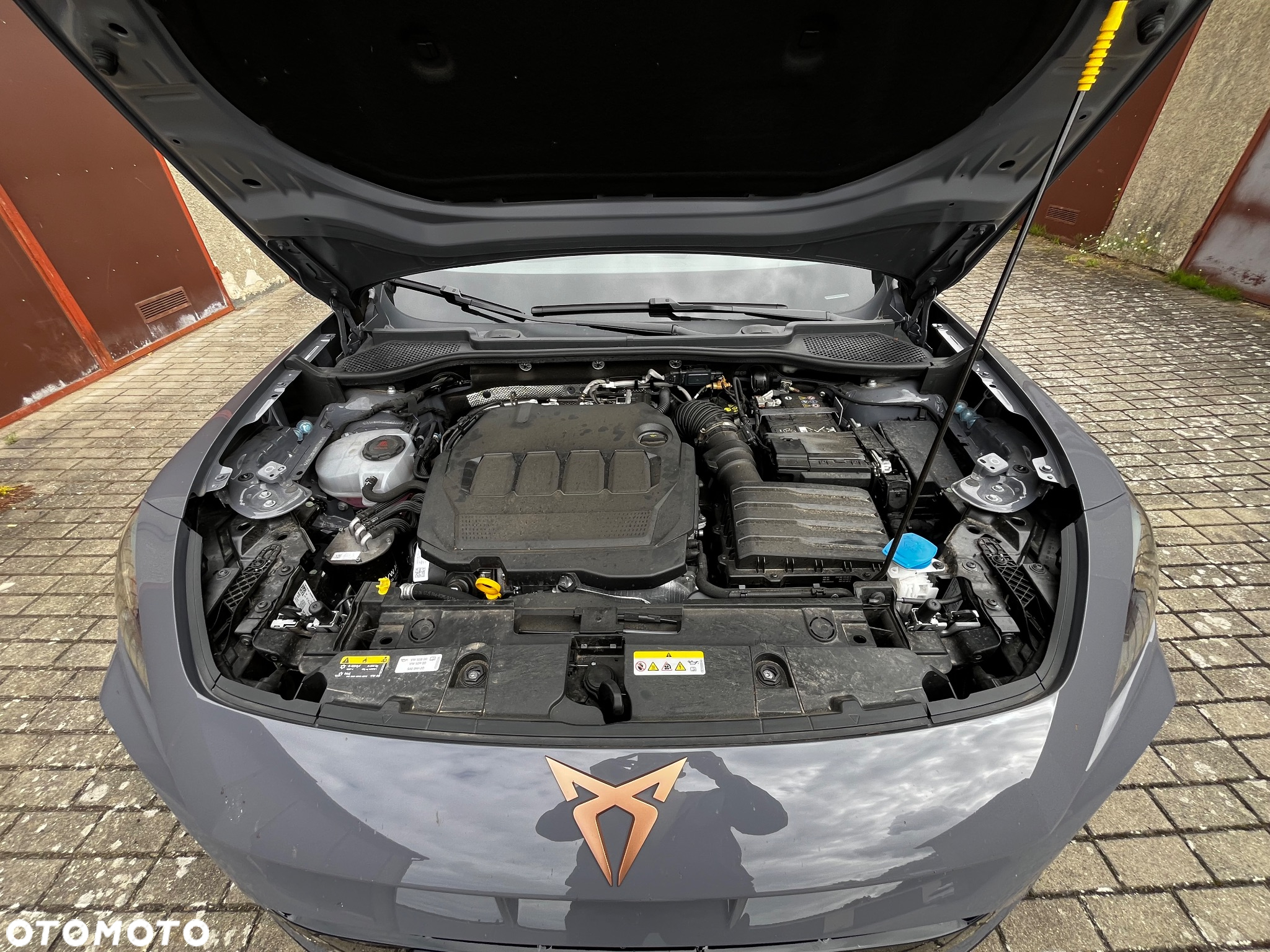 Cupra Formentor 2.0 TDI DSG - 18