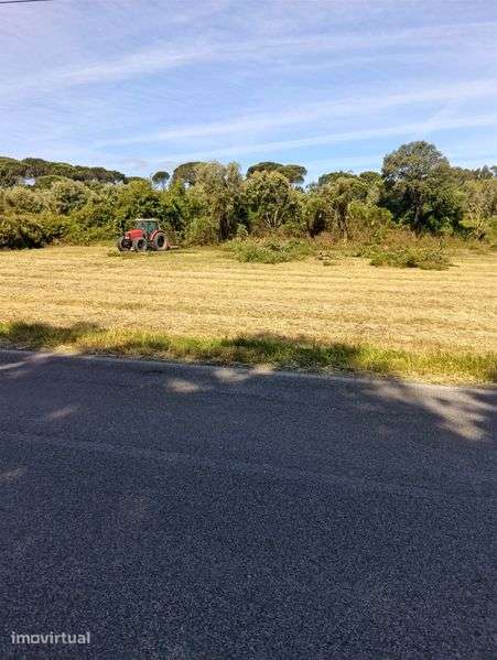 Terreno 9800m², para turismo rural - Grande imagem: 3/3