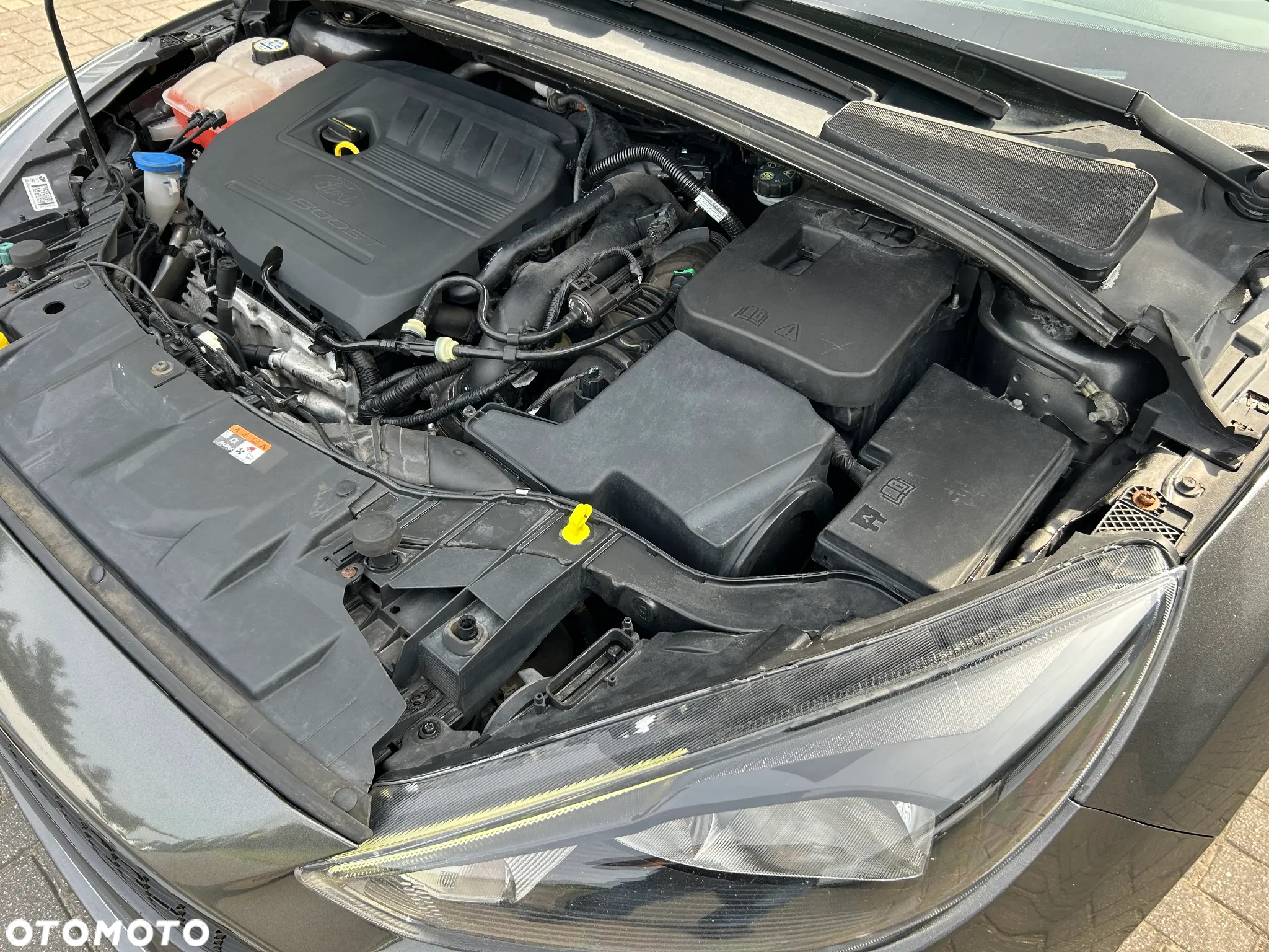 Ford Focus 1.5 EcoBoost ST-Line Red ASS - 16