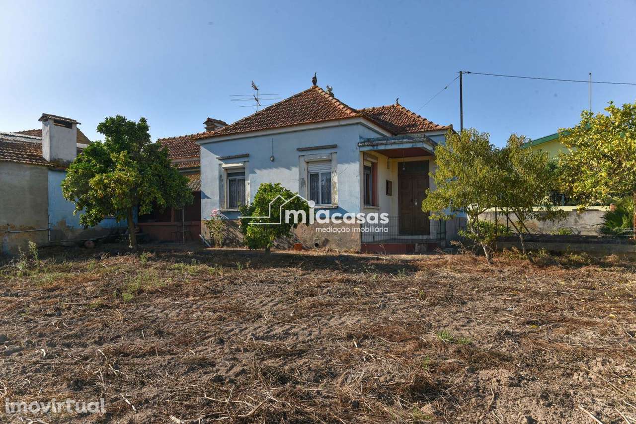 QUINTA COM MORADIA T3 ISOLADA - Grande imagem: 3/30