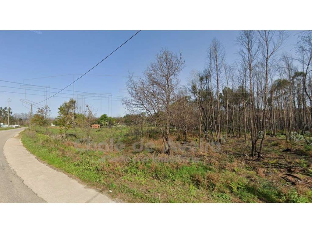 Terreno em Albergaria a Velha - Grande imagem: 4/8