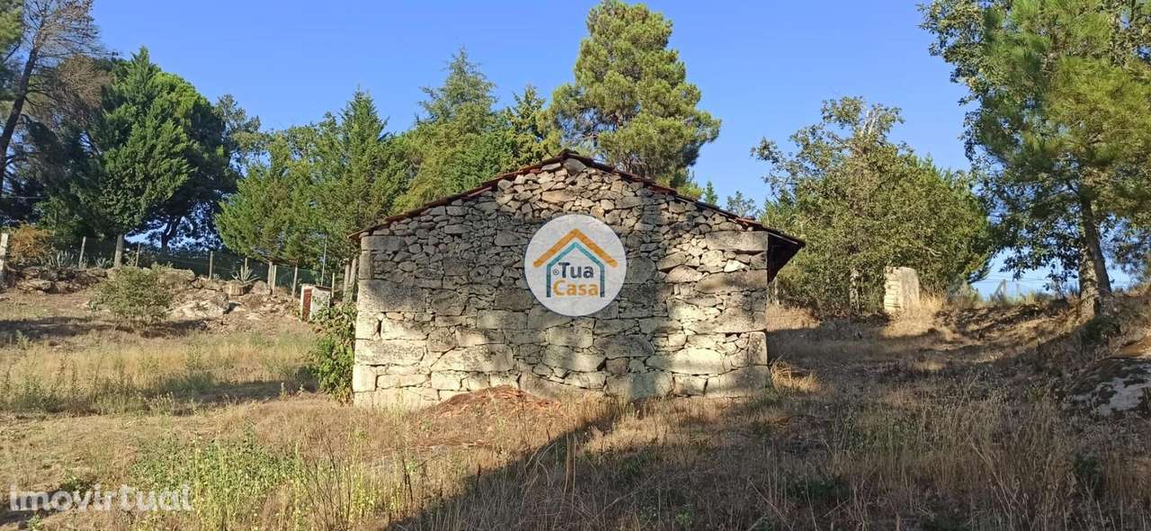 Terreno Urbano com Projeto em Ferreirim - Grande imagem: 3/22